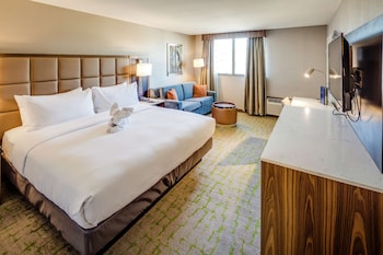 Room, 1 King Bed with Sofa bed, River View