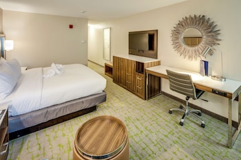 Room, 1 King Bed, Accessible (Roll-In Shower)