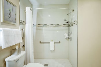 Room, 1 King Bed, Accessible (Roll-In Shower)