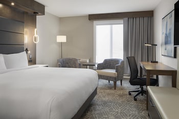 Executive Room, 1 King Bed, Non Smoking, Refrigerator & Microwave (2nd Floor)