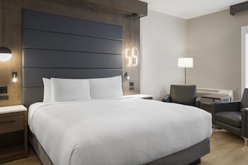 Executive Room, 1 King Bed, Non Smoking, Refrigerator & Microwave