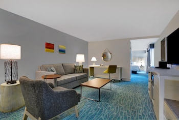 Studio Suite, 1 King Bed with Sofa bed, Microwave