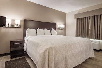 Standard Room, 1 King Bed, Accessible (Smoke Free)