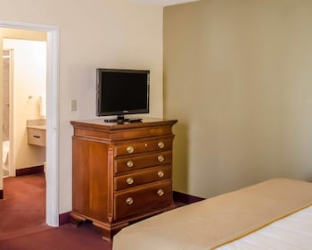 Suite, 1 King Bed
