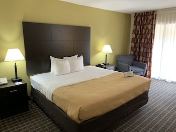 Standard Room, 1 King Bed, Non Smoking