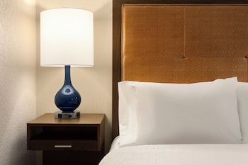 Room, 1 King Bed, Accessible, Non Smoking (Roll-in Shower)
