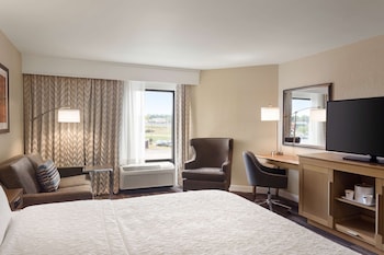 Suite, 1 King Bed, Non Smoking (Mini)