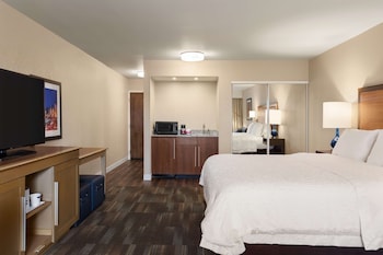 Suite, 1 King Bed, Non Smoking (Mini)