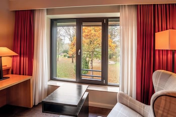 Room, 1 King Bed