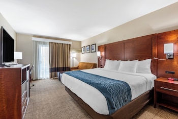 Deluxe Single Room, 1 King Bed with Sofa bed, Non Smoking