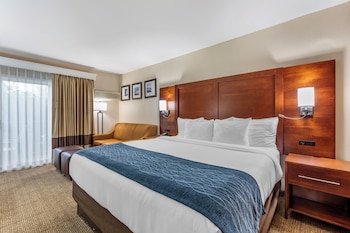 Deluxe Single Room, 1 King Bed, Roll-in Shower, Non Smoking