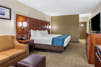 Deluxe Single Room, 1 King Bed, Roll-in Shower, Non Smoking
