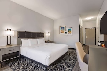Room, 1 King Bed, Non Smoking