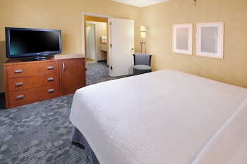 Suite, 1 King Bed with Sofa bed