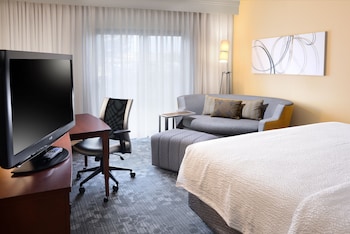 Room, 1 King Bed with Sofa bed (Hearing Accessible)
