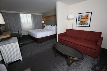 Suite, 1 King Bed
