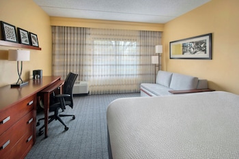 Room, 1 King Bed with Sofa bed (Mobility/Hearing Access, Roll-In Shwr)