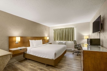 Room, 1 King Bed, Accessible, Non Smoking
