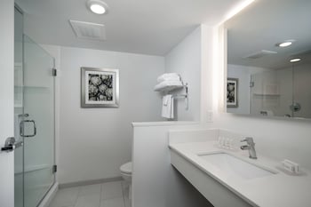 Studio Suite, 1 King Bed with Sofa bed
