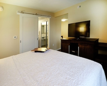Studio, 1 King Bed, Accessible (Roll In Shower)