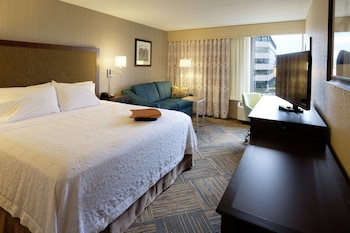 Room, 1 King Bed with Sofa bed, Accessible
