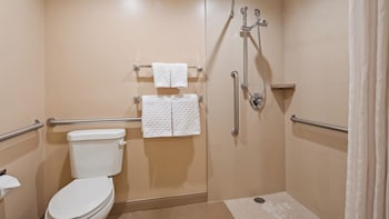 Standard Room, 1 King Bed, Accessible, Non Smoking