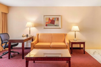 Suite, 1 King Bed, Non Smoking, Refrigerator & Microwave (with Sofabed)