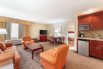 Suite, 1 King Bed, Non Smoking, Refrigerator & Microwave (with Sofabed)