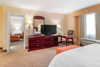 Suite, 1 King Bed, Non Smoking, Refrigerator & Microwave (with Sofabed)