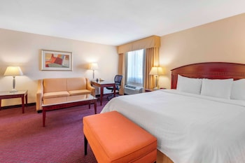 Suite, 1 King Bed, Non Smoking, Refrigerator & Microwave (with Sofabed)