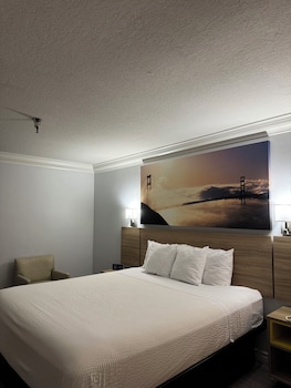 Superior Room, 1 King Bed, Non Smoking