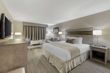 Deluxe Room, 1 King Bed with Sofa bed, Non Smoking, Refrigerator & Microwave (with Sofabed)