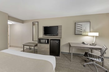 Deluxe Room, 1 King Bed with Sofa bed, Non Smoking, Refrigerator & Microwave (with Sofabed)