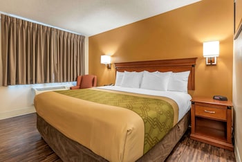Standard Room, 1 King Bed, Non Smoking