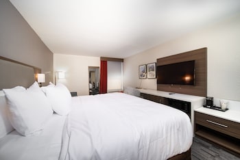 Room, 1 Queen Bed, Accessible, Non Smoking (Mobility Accessible w/ Roll in Shower)