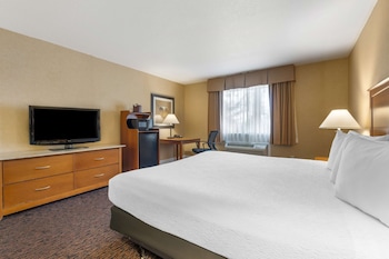 Standard Room, 1 King Bed, Non Smoking, Refrigerator & Microwave