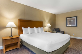 Standard Room, 1 King Bed, Non Smoking, Refrigerator & Microwave
