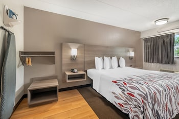 Deluxe Room, 1 King Bed, Accessible (Roll-In Shower, Smoke Free)