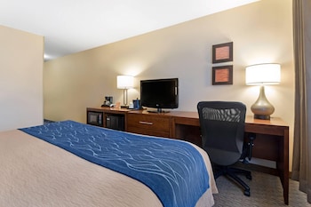 Room, 1 King Bed, Accessible, Non Smoking