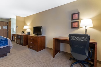 Standard Room, 1 King Bed with Sofa bed, Non Smoking