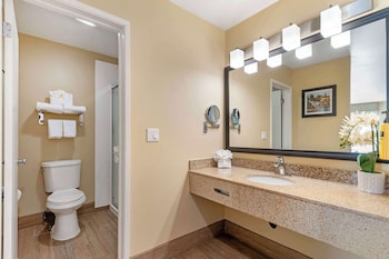 Standard Room, 1 King Bed, Non Smoking, Refrigerator & Microwave