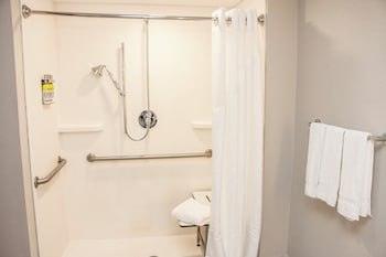 Standard Room, 1 King Bed, Accessible (Mobility, Roll-In Shower)