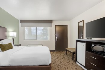 Standard Room, 1 Queen Bed, Accessible, Non Smoking (Walk-in Shower)