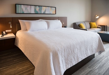Room, 1 King Bed