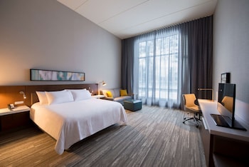 Room, 1 King Bed, Accessible (Roll-in Shower, Hearing/ Mobility)