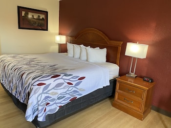 Superior Room, 1 King Bed, Smoking