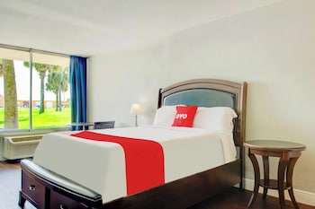 Room, 1 King Bed