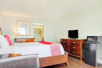 Room, 1 King Bed