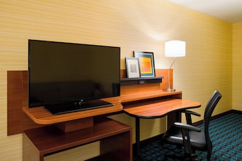 Studio, 1 King Bed with Sofa bed