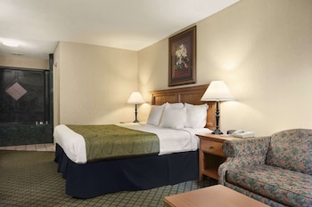 Studio Suite, 1 King Bed, Smoking
